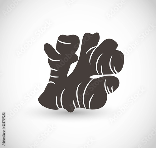 Ginger vector icon