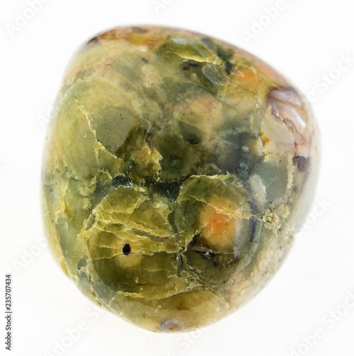 polished rhyolite ( rainforest jasper) stone photo