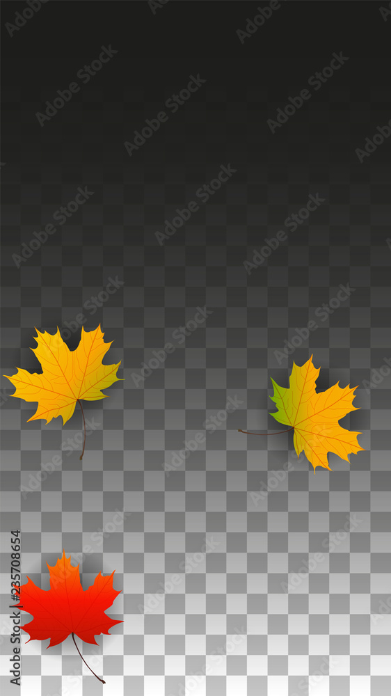 September Vector Background with Golden Falling Leaves. Autumn Illustration with Maple Red, Orange, Yellow Foliage. Isolated Leaf on Transparent Background. Bright Swirl. Suitable for Posters. September Vector Background with Golden Falling Leaves. Autumn Illustration with Maple Red, Orange, Yellow Foliage. Isolated Leaf on Transparent Background. Bright Swirl. Suitable for Posters.