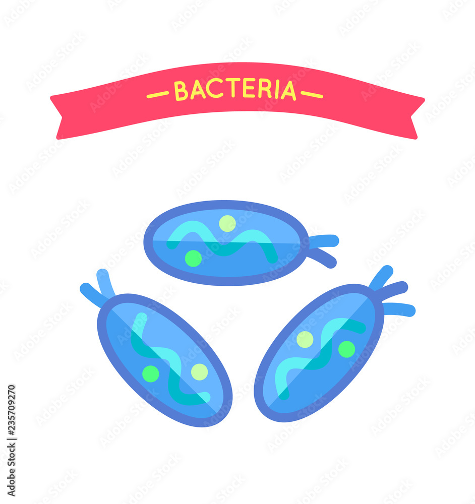 Bacteria or Microbe Life Form Under Microscope Bacteria or Microbe Life Form Under Microscope