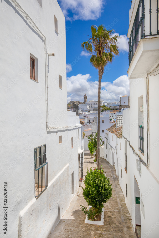 street in typical Andalusian village named Vejer de la Frontera in Cadiz (Andalusia, Spain, Europe)