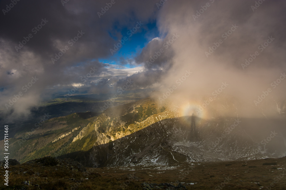 Mamidło górskie  zaobserwowane w Zachodnich Tatrach, Polska.