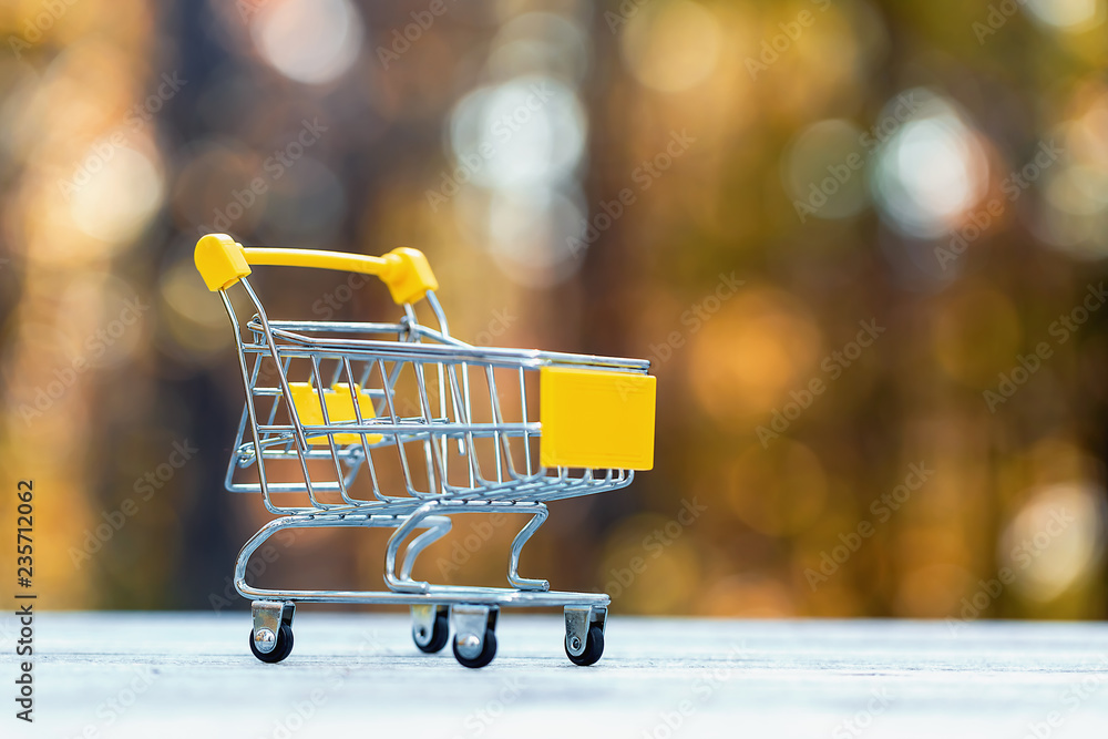 Fall season shopping theme with shopping cart on a fall forest background Fall season shopping theme with shopping cart on a fall forest background