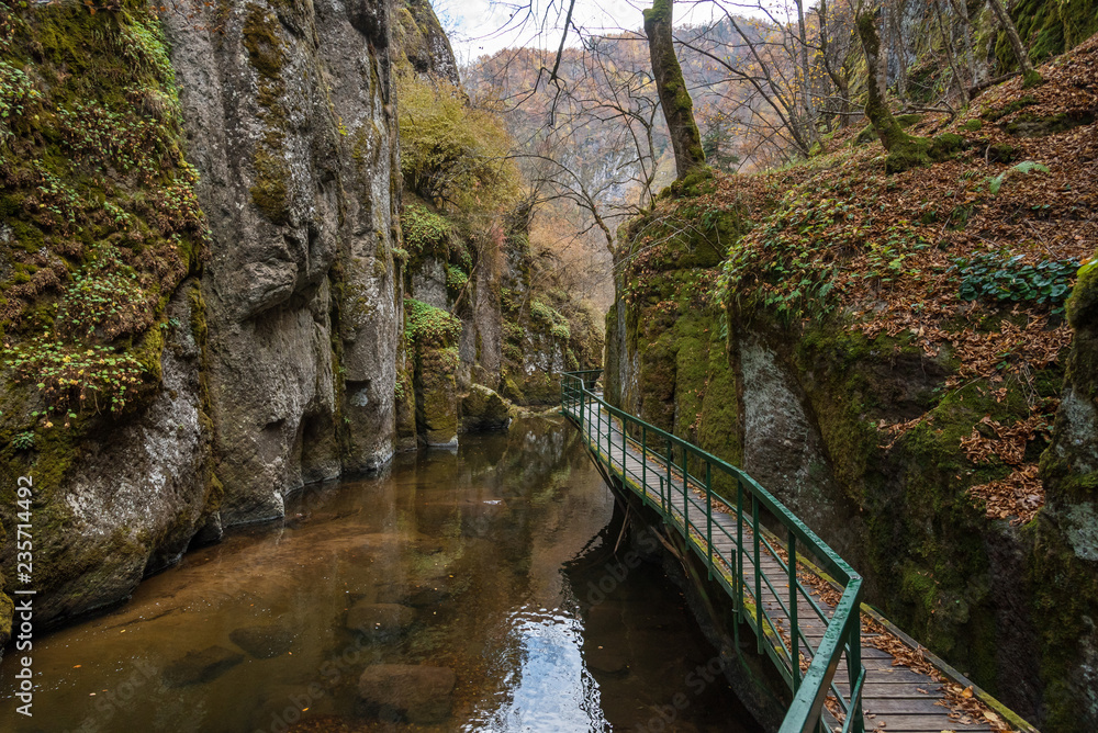Bridge for hikers in the gorge of the Devinska River in Bulgaria. Bridge for hikers in the gorge of the Devinska River in Bulgaria.