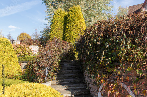 Cottage garden with vines, trees and trimmed bushes.