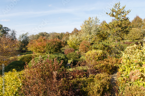 Park with green lawn, trees and trimmed bushes.