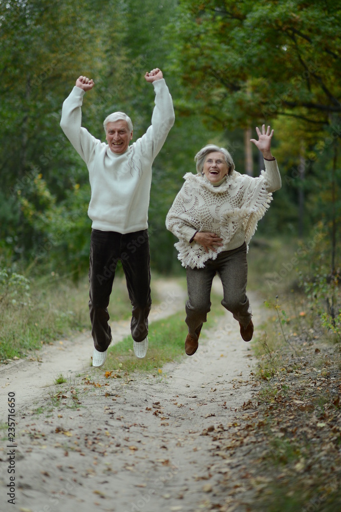Fototapeta premium Portrait of cute old couple at park