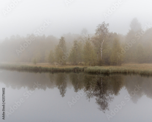 Fototapeta Naklejka Na Ścianę i Meble -  Spiegelung im Nebel