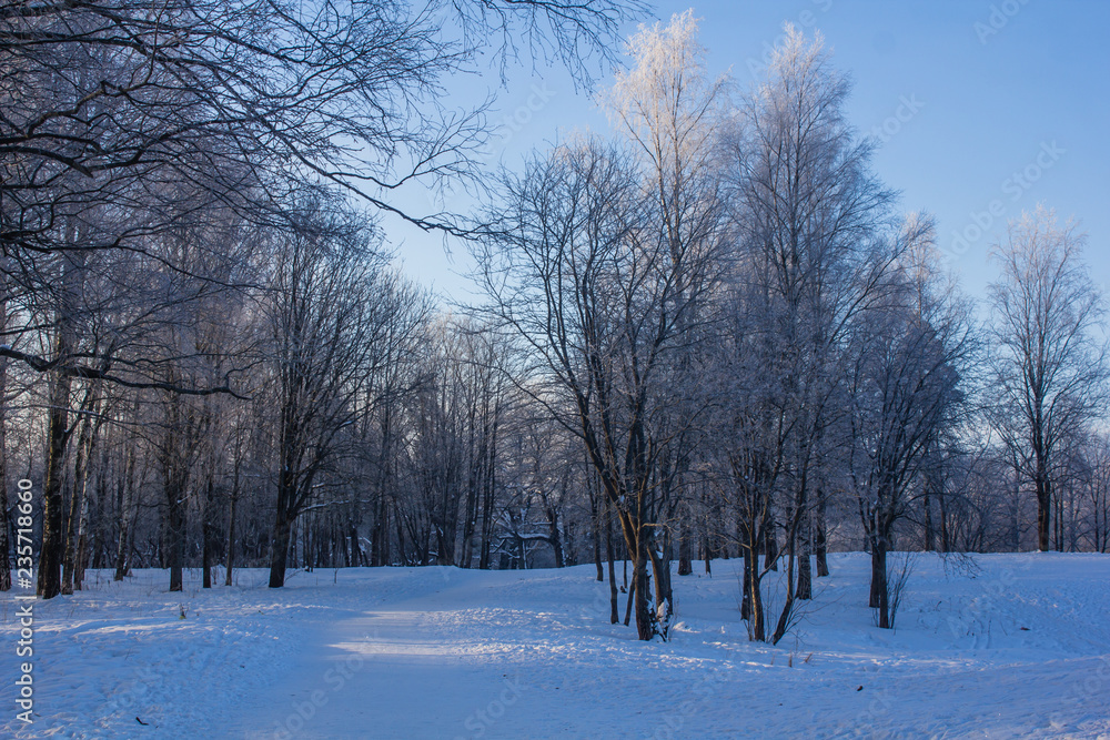 Winter landscape in clear weather. Frosty daylight at sunset