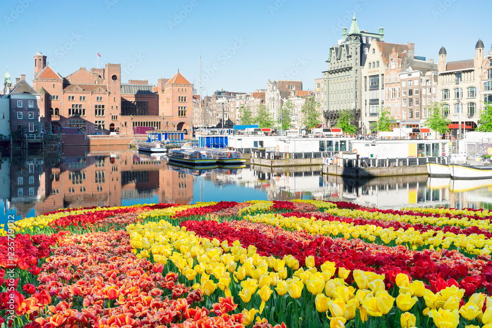 Obraz premium Amsterdam canal Damrak with typical dutch houses and boats at morning blue hour with tulips, Holland, Netherlands
