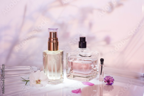 Принти на полотні Different perfume bottles and sampler with plants on a pink floral background