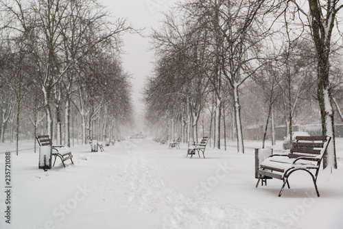 Park with benches during snowfall