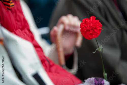 Carnation flowers in a hand of unidentified veteran. Selective focus. photo