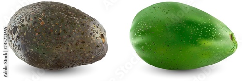 Collection of two types of avocado. Set of ripe realistic avocado fruits. Vector illustration ..Isolation on a white background