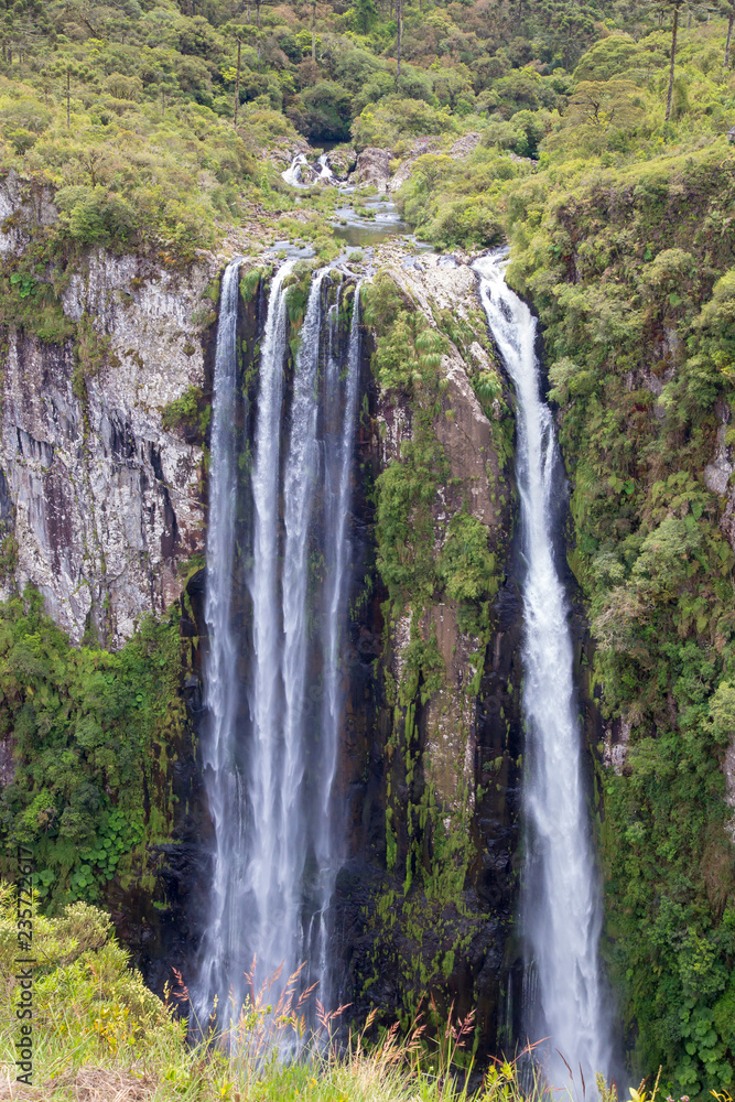 Fototapeta premium Fotos