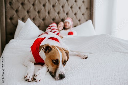 Fototapeta Naklejka Na Ścianę i Meble -  Christmas dog on bed with couple in background