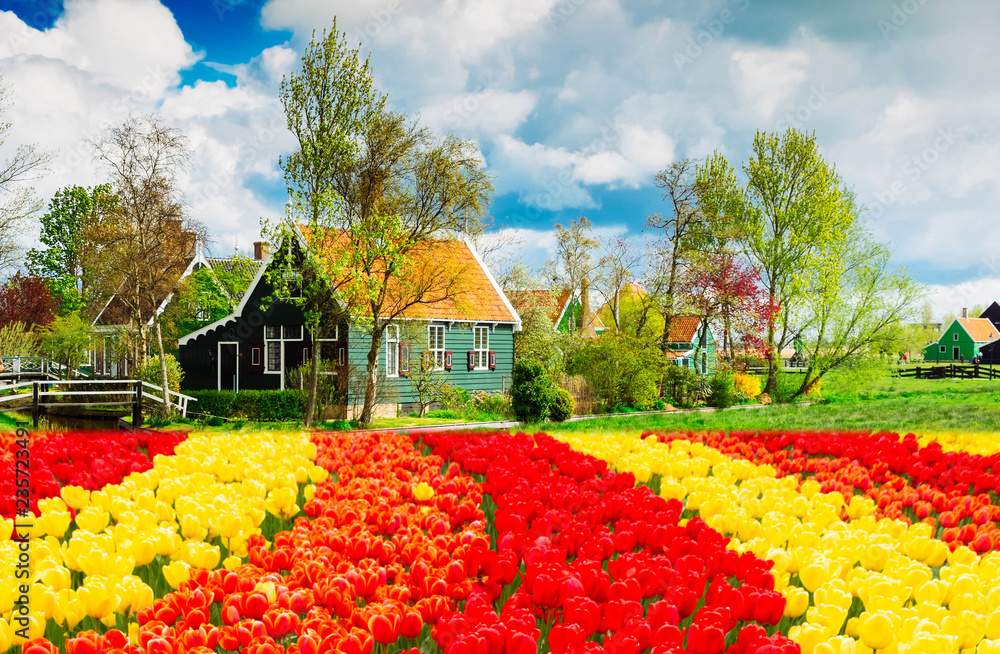 rural dutch scenery of small traditional town Zaanse Schans with spring