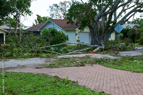 View of downed trees in front of house and hurricane irma damage in florida. photo