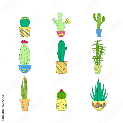 A set of cactus on white background. Vector illustration