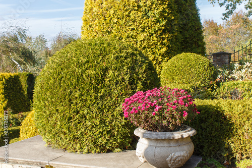 Cottage garden with topiary and trimmed bushes.