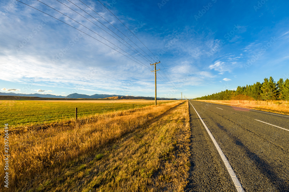 Golden fields of hay at sunset along the road on a highway, South island, New Zealand Golden fields of hay at sunset along the road on a highway, South island, New Zealand