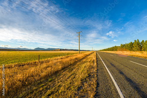Golden fields of hay at sunset along the road on a highway, South island, New Zealand