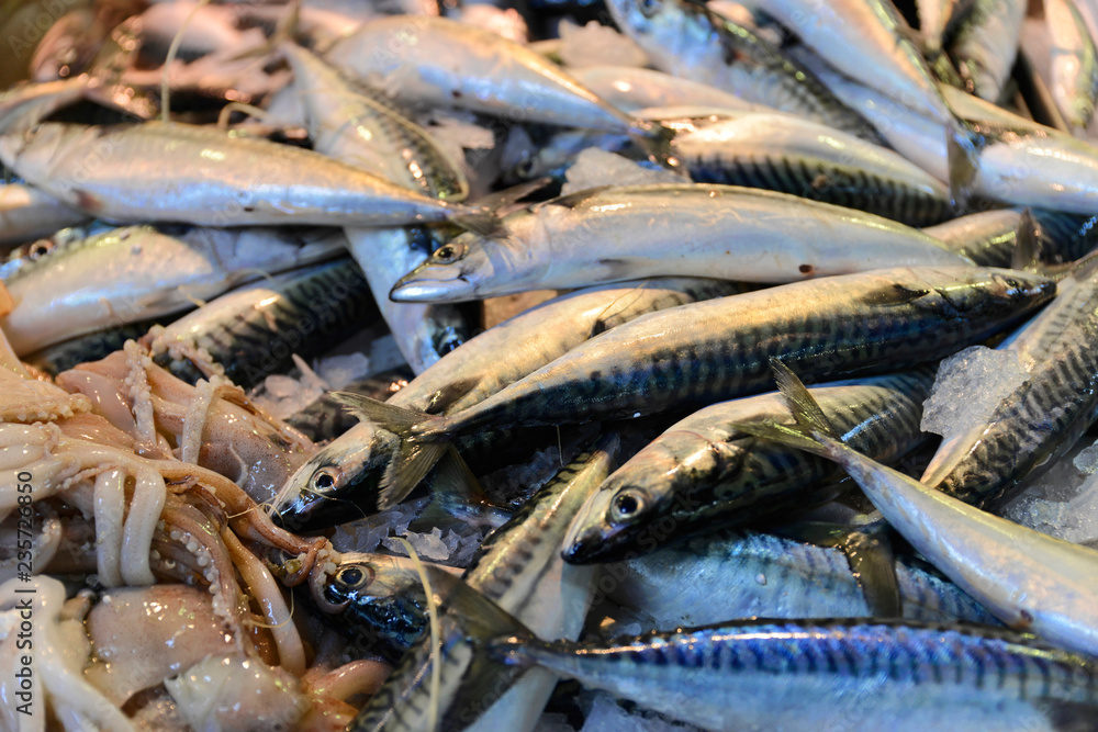 Fische auf einem Marktstand, Honfleur, Département Calvados, Basse-Normandie, Frankreich, Europa