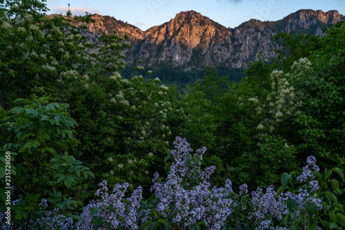 views of mehedinti mountain range from cernei mountain range, romania