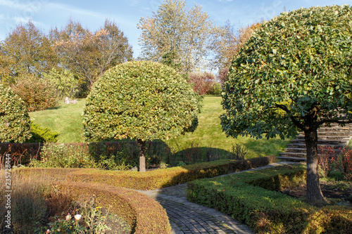 Cottage garden with green lawn, topiary oak trees and trimmed bushes.