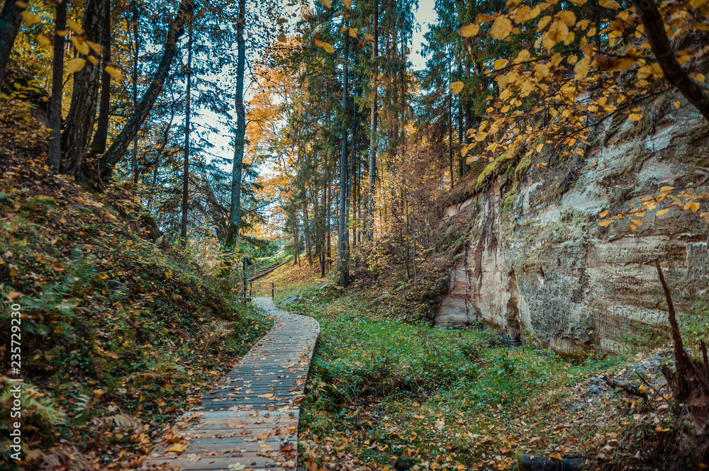 Hinni canyon is a unique canyon valley in Estonia, located in a specially managed zone of Haanja Nature Park. Landscape view with pathway. Autumn. Hinni canyon is a unique canyon valley in Estonia, located in a specially managed zone of Haanja Nature Park. Landscape view with pathway. Autumn.