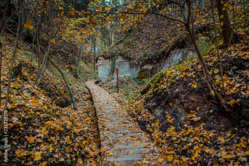 Hinni canyon is a unique canyon valley in Estonia, located in a specially managed zone of Haanja Nature Park. Landscape view with pathway. Autumn.