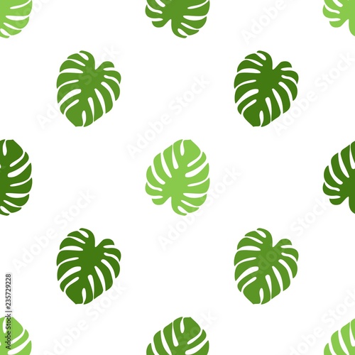 pattern with monstera palm leaves