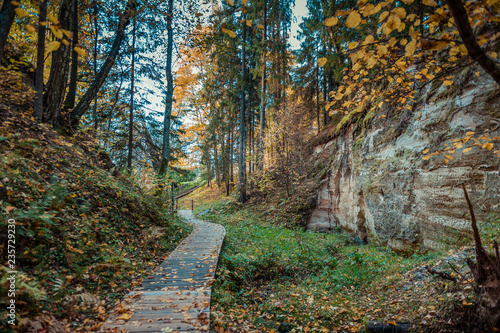 Hinni canyon is a unique canyon valley in Estonia, located in a specially managed zone of Haanja Nature Park. Landscape view with pathway. Autumn.