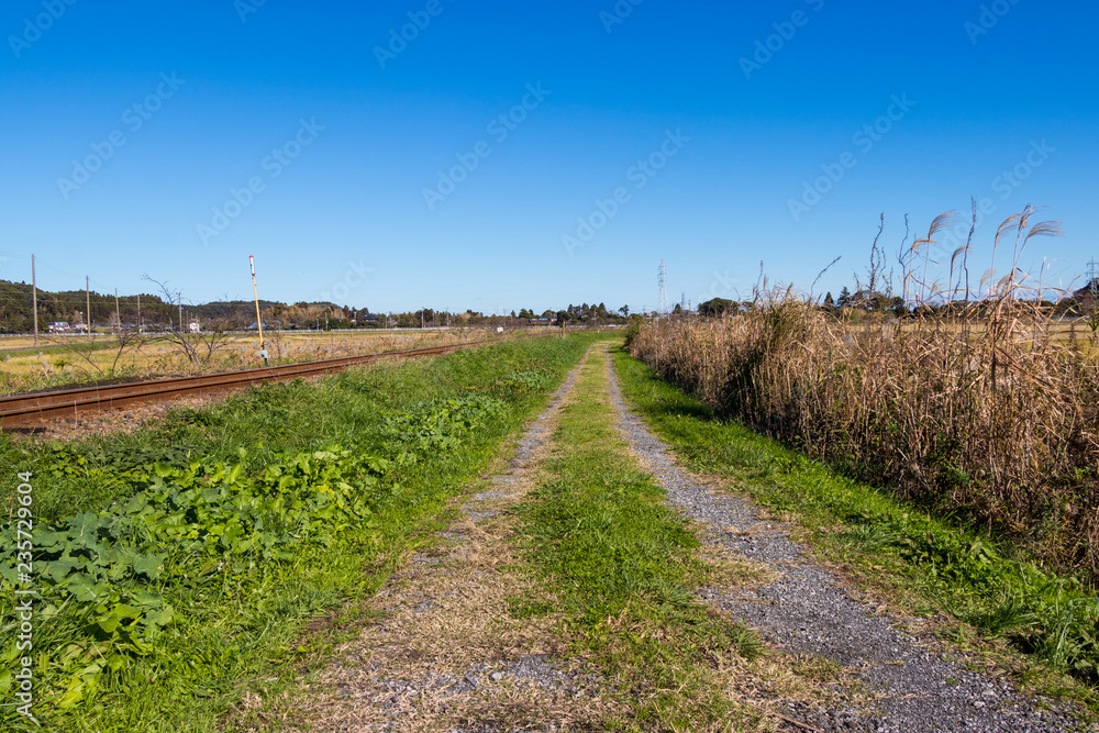 Obraz premium A peaceful landscape in the countryside of Japan / Isumi city, chiba prefecture, Japan