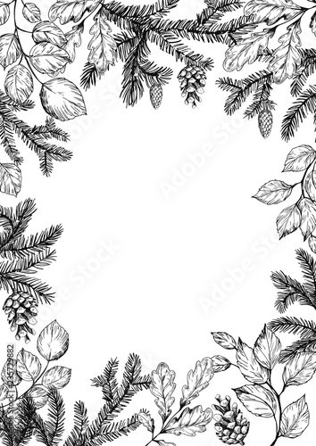 Floral decorative frame with pine spruces, cones and leaves. Hand drawn illustration. Vector. Isolater