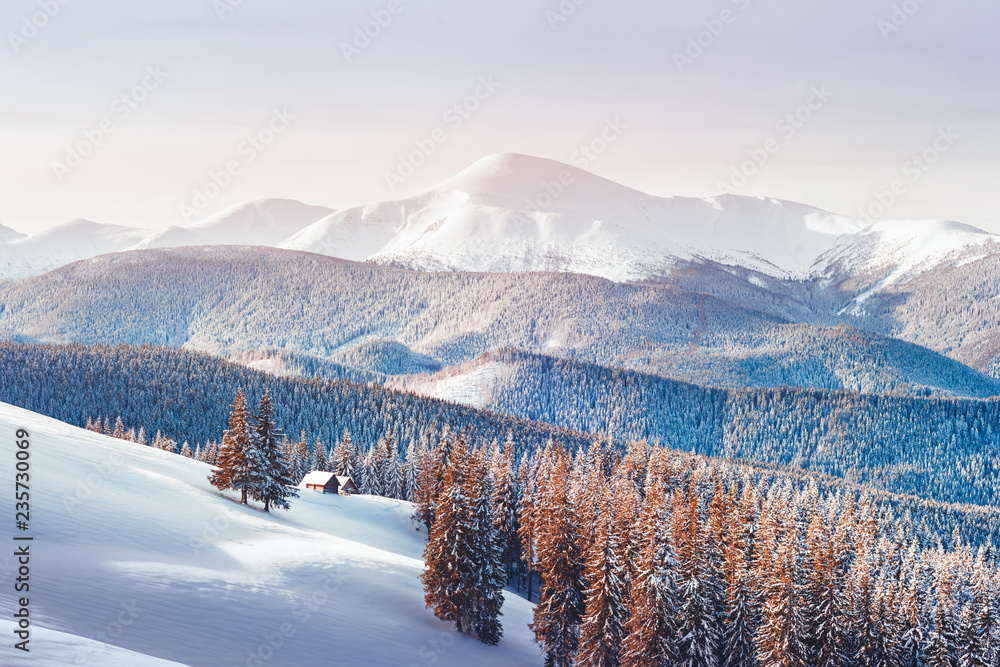 Fototapeta Fantastyczny zimowy krajobraz z ośnieżonymi drzewami. Karpaty, Ukraina, Europa. Koncepcja świąt Bożego Narodzenia