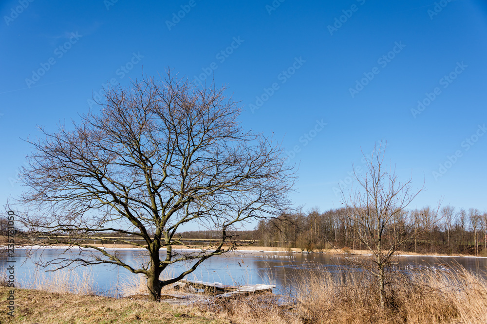 Binnensee im Winter mit leichter Eisdecke Binnensee im Winter mit leichter Eisdecke