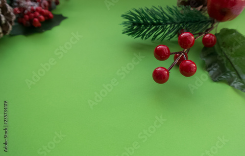 cones, leaves and red berries on a juicy green background