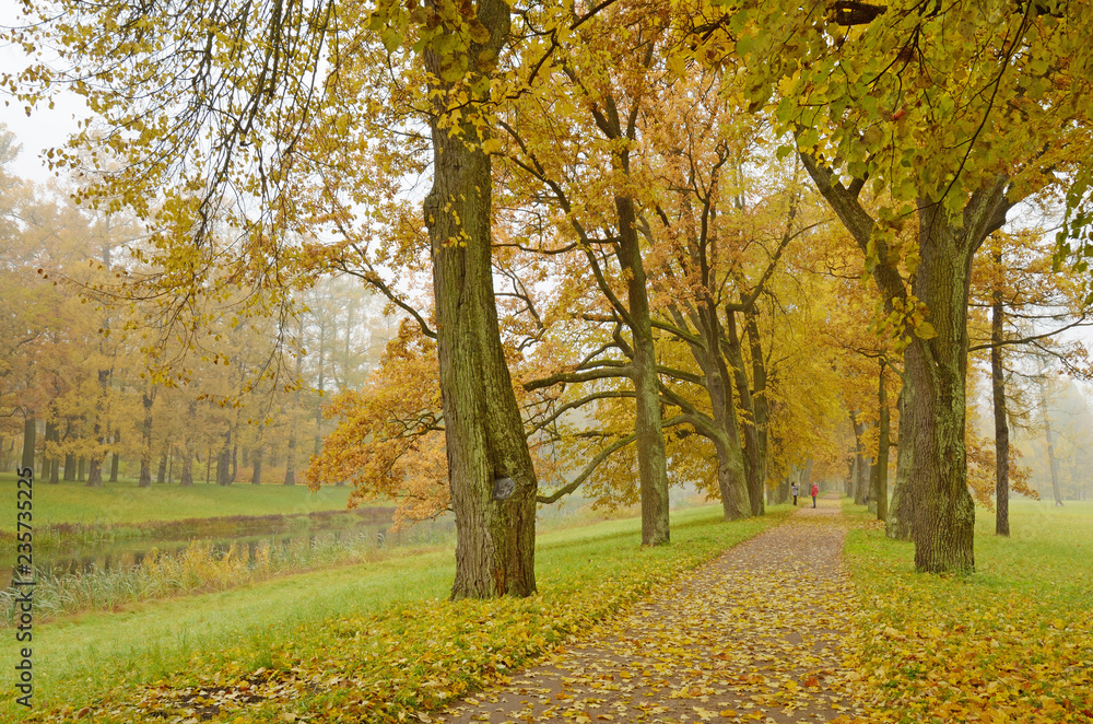 Naklejka premium Autumn landscape in the Park.