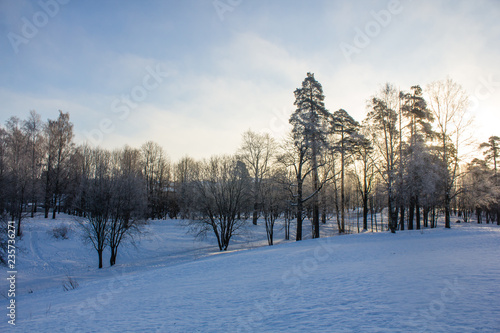 Winter landscape in clear weather. Frosty daylight at sunset