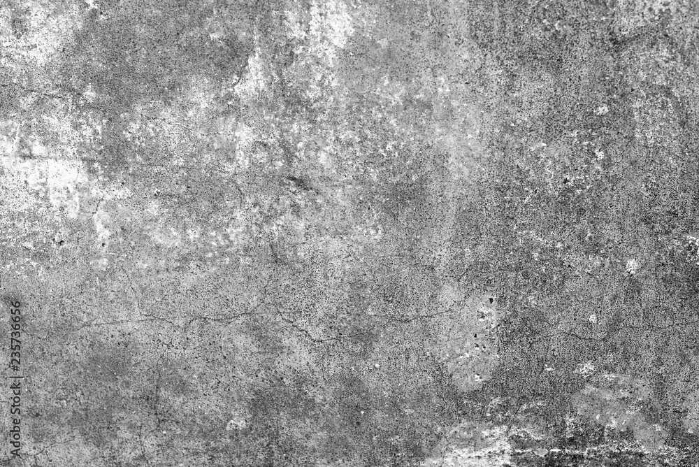 Texture, wall, concrete, it can be used as a background . Wall fragment with scratches and cracks Texture, wall, concrete, it can be used as a background . Wall fragment with scratches and cracks