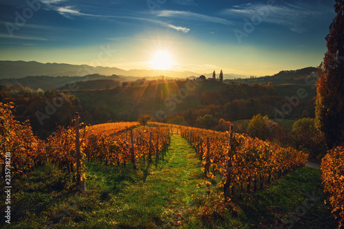 Wineyards fields, sunset view from Spicnik near Maribor photo