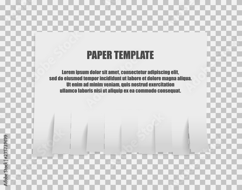 Tear off stripes of paper sheet. Street advertisement template with copy space template isolated on white background. Tear off paper notice on the wall. On transparent background.