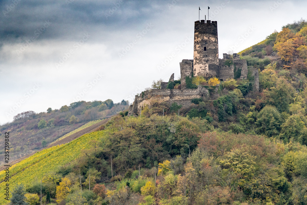 castle and vineyard castle and vineyard