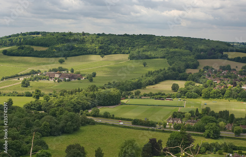 Quadro su tela Vineyard at Dorking, Surrey, England
