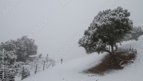 Paisaje invernal con nieve en España