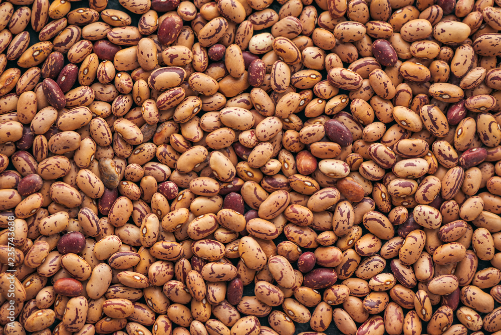 Pinto bean from above Pinto bean from above