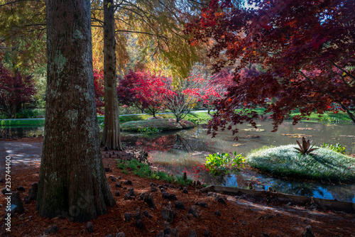 Gibbs Garden, Georgia photo