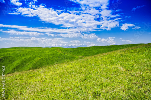 Mountain meadows