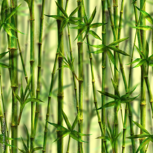 Fototapeta Naklejka Na Ścianę i Meble -  Bamboo watercolor stems and leaves seamless pattern on white background